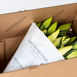 Premium Big News White Lilies