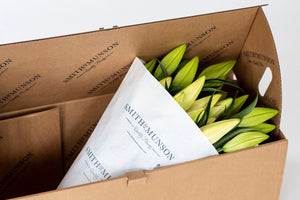 Premium Big News White Lilies