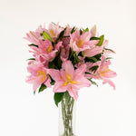 Premium Vendome Pink Lilies - Pollen Free