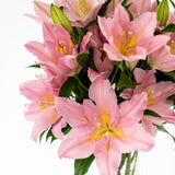 Smith & Munson Lily Subscription - Pollen Free Only